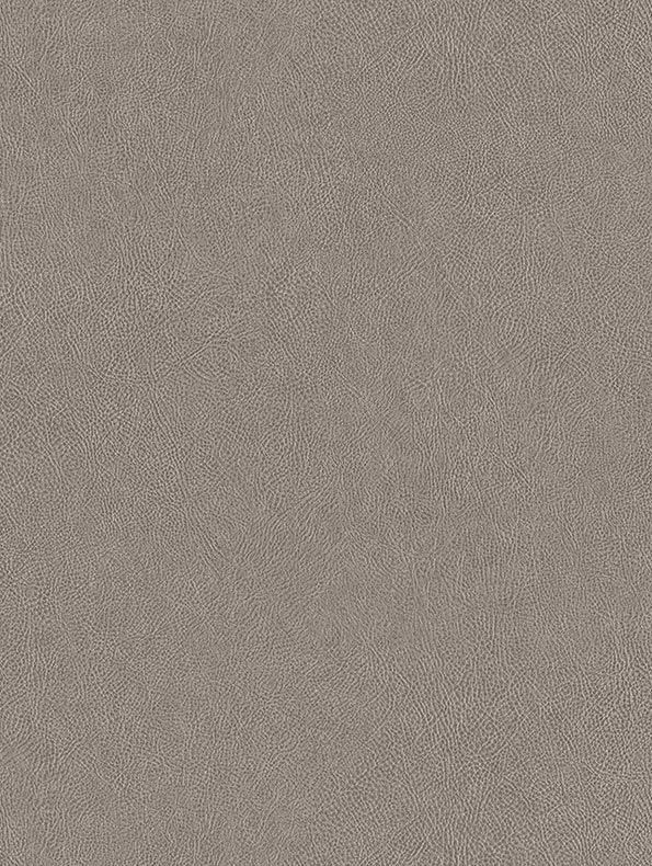 ne41_f4653aef30